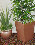 planters